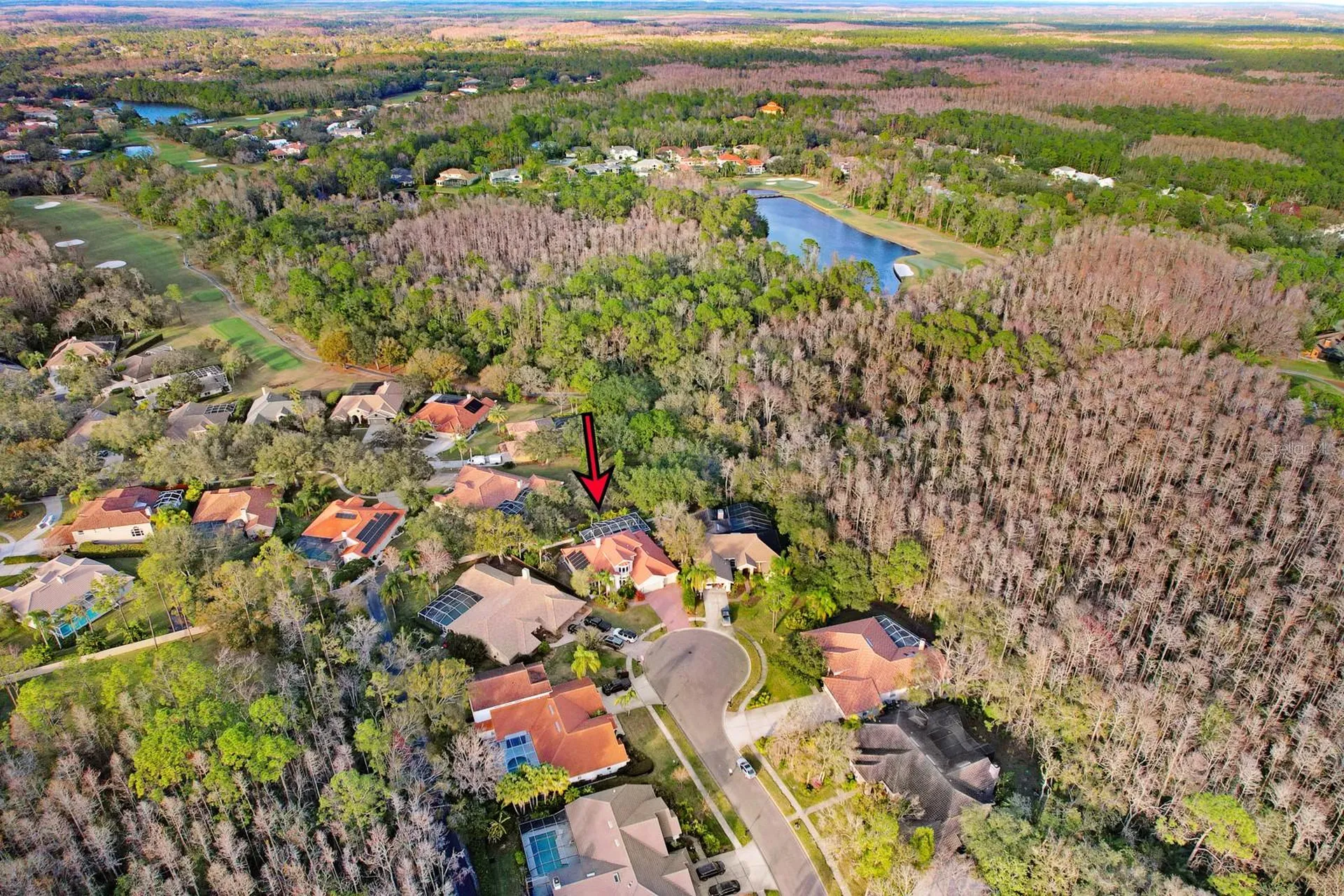 1598 Lockmeade Place Oldsmar FL 34677