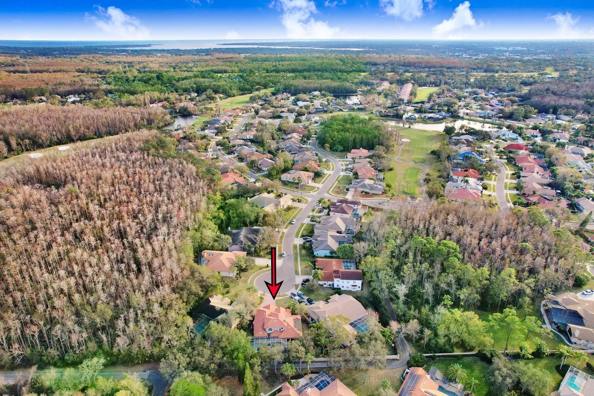 1598 Lockmeade Place Oldsmar FL 34677