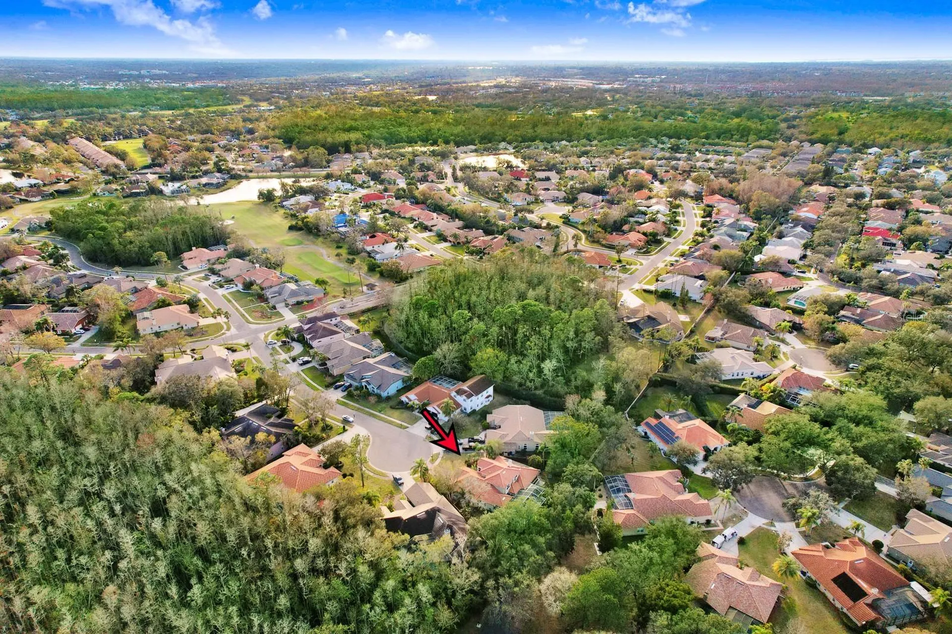 1598 Lockmeade Place Oldsmar FL 34677