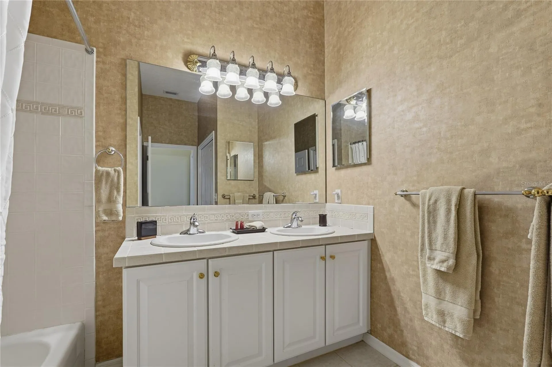 1297 Kings Way Lane Tarpon Springs FL 34688