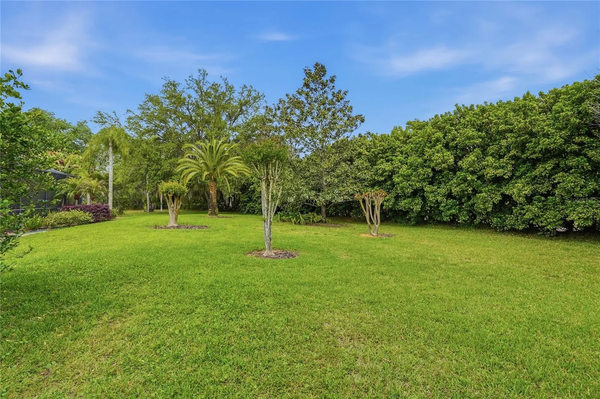 1297 Kings Way Lane Tarpon Springs FL 34688