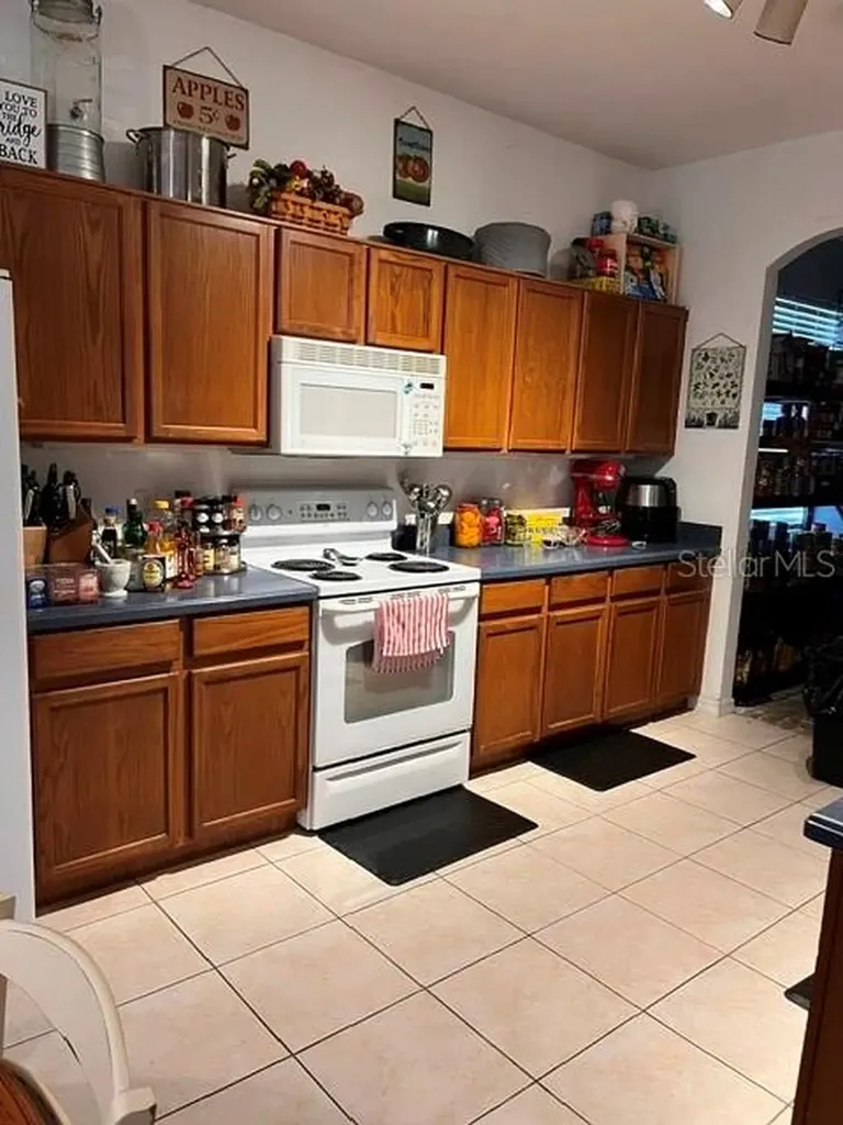 10049 Savannah Bluff Lane Orlando FL 32829