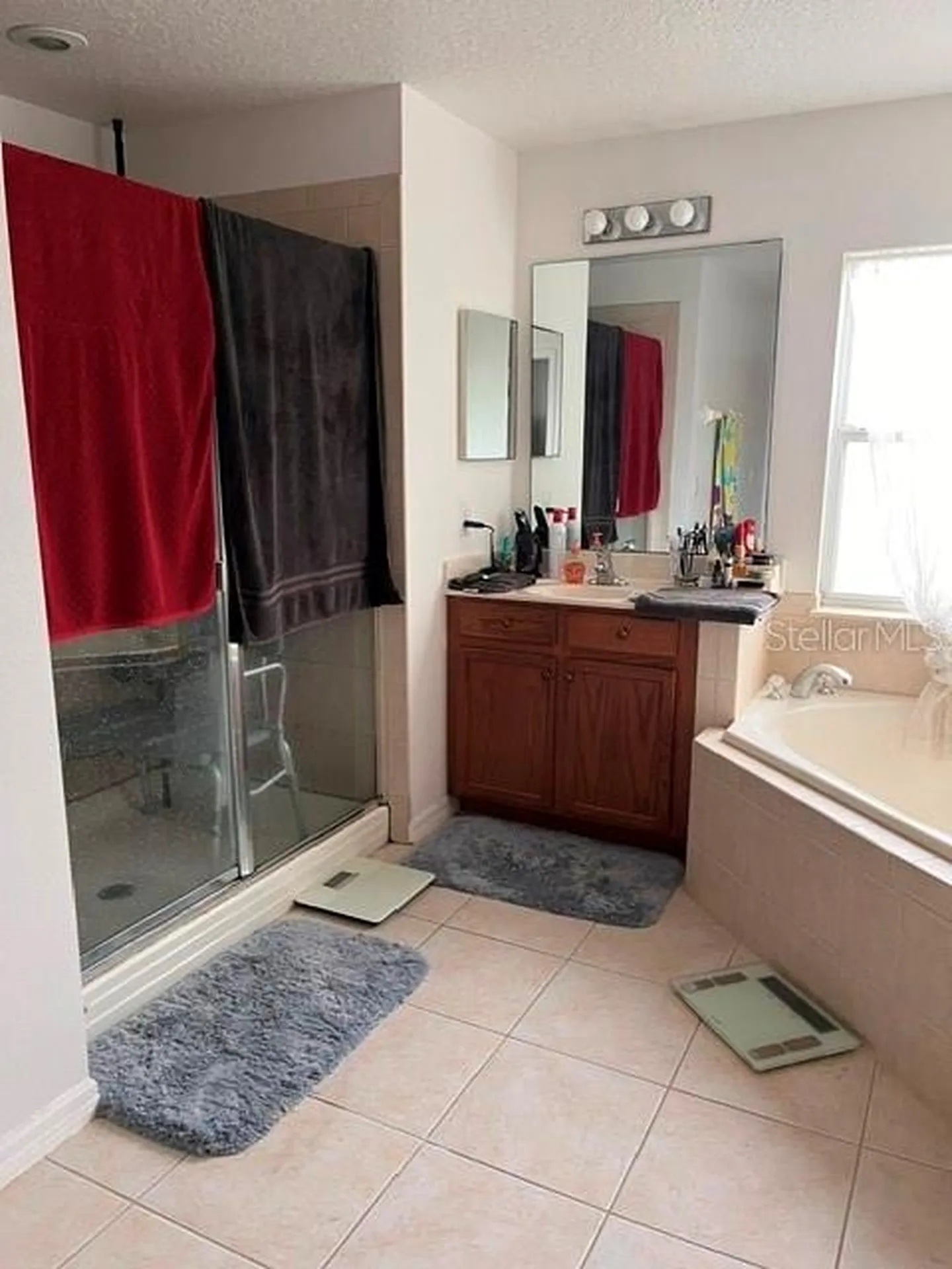 10049 Savannah Bluff Lane Orlando FL 32829