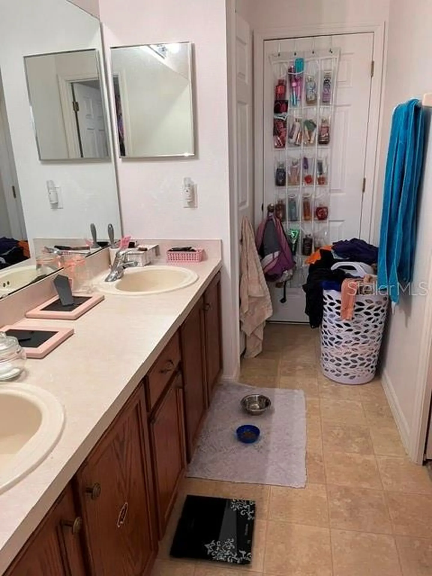 10049 Savannah Bluff Lane Orlando FL 32829