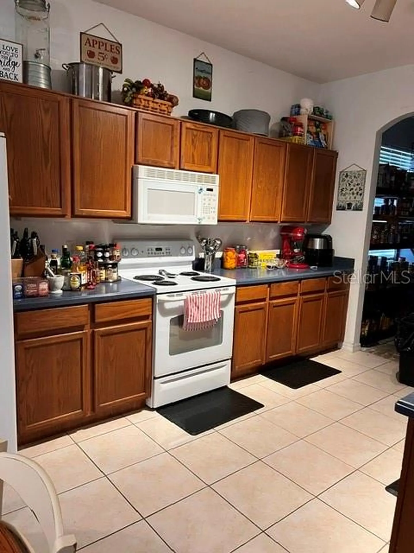 10049 Savannah Bluff Lane Orlando FL 32829