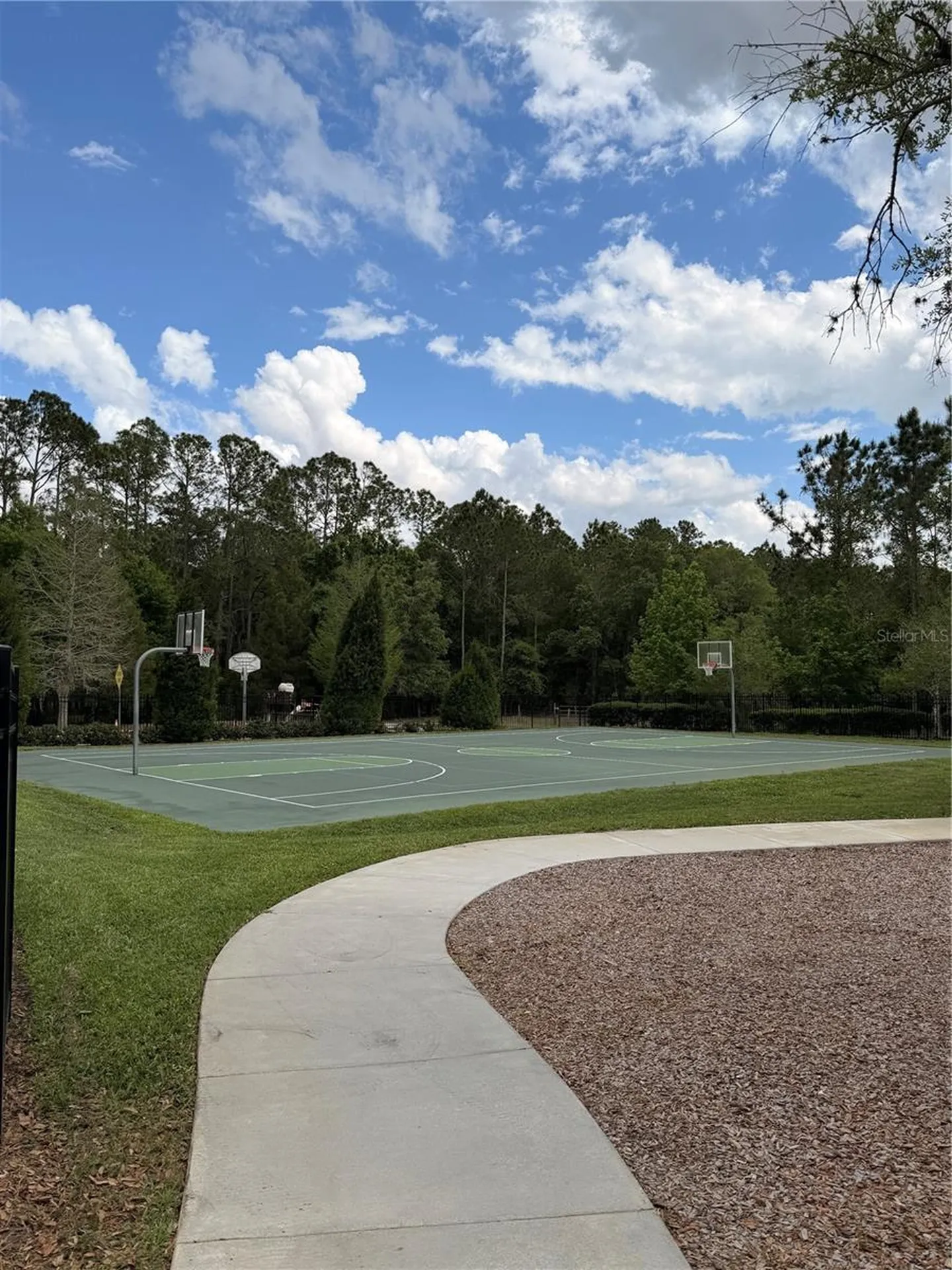34144 Spring Oak Trail Wesley Chapel FL 33545