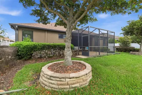 34144 Spring Oak Trail Wesley Chapel FL 33545