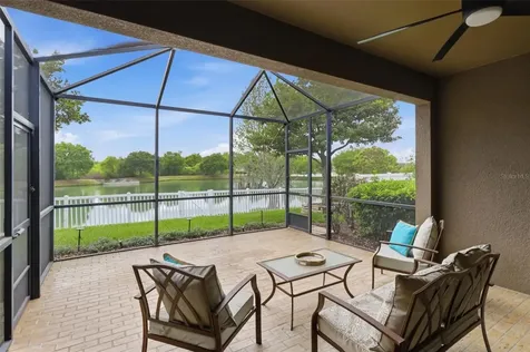 34144 Spring Oak Trail Wesley Chapel FL 33545