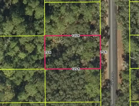 Interlachen FL 32148