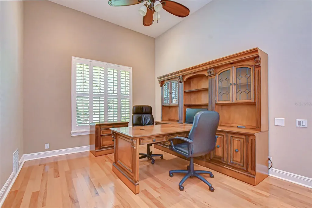 21338 Lake Vienna Drive Land O Lakes FL 34638