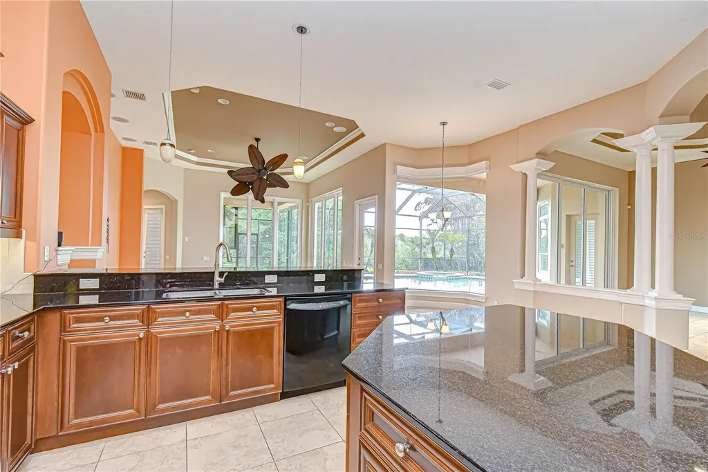 21338 Lake Vienna Drive Land O Lakes FL 34638