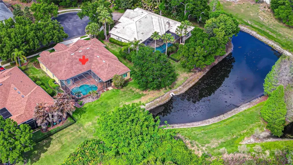 21338 Lake Vienna Drive Land O Lakes FL 34638