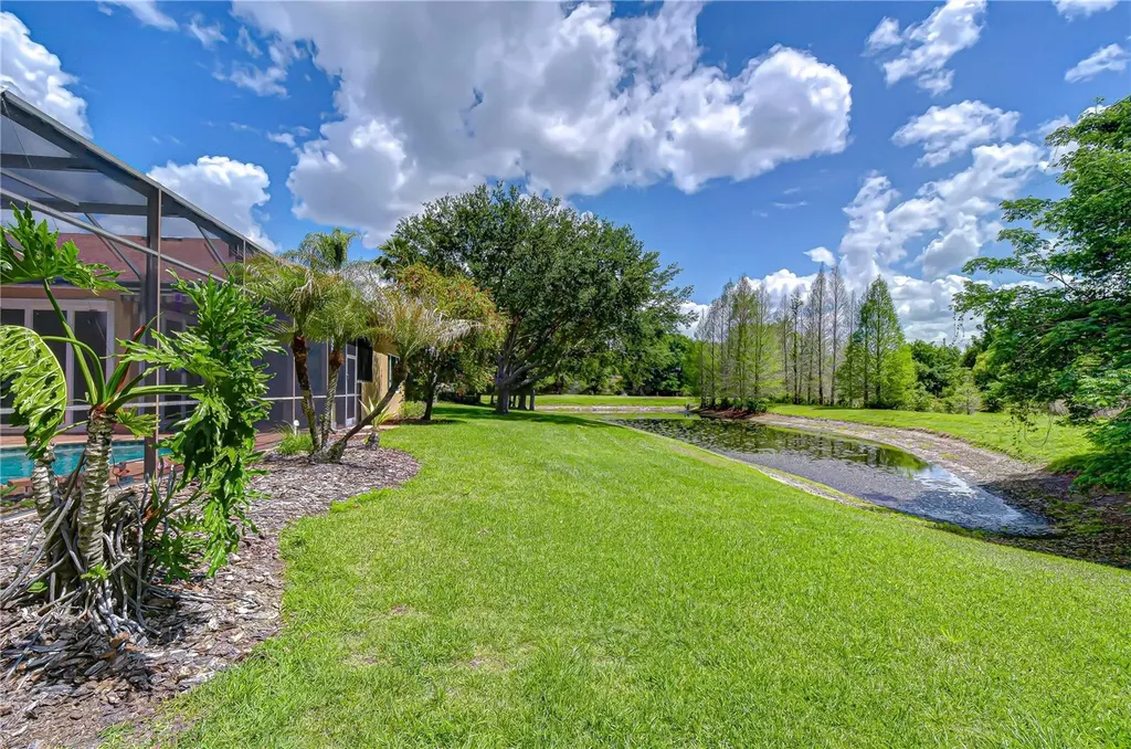 21338 Lake Vienna Drive Land O Lakes FL 34638