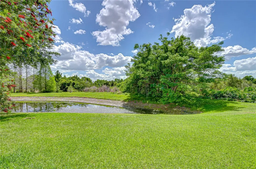 21338 Lake Vienna Drive Land O Lakes FL 34638