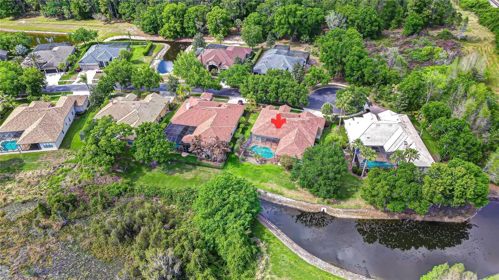 21338 Lake Vienna Drive Land O Lakes FL 34638