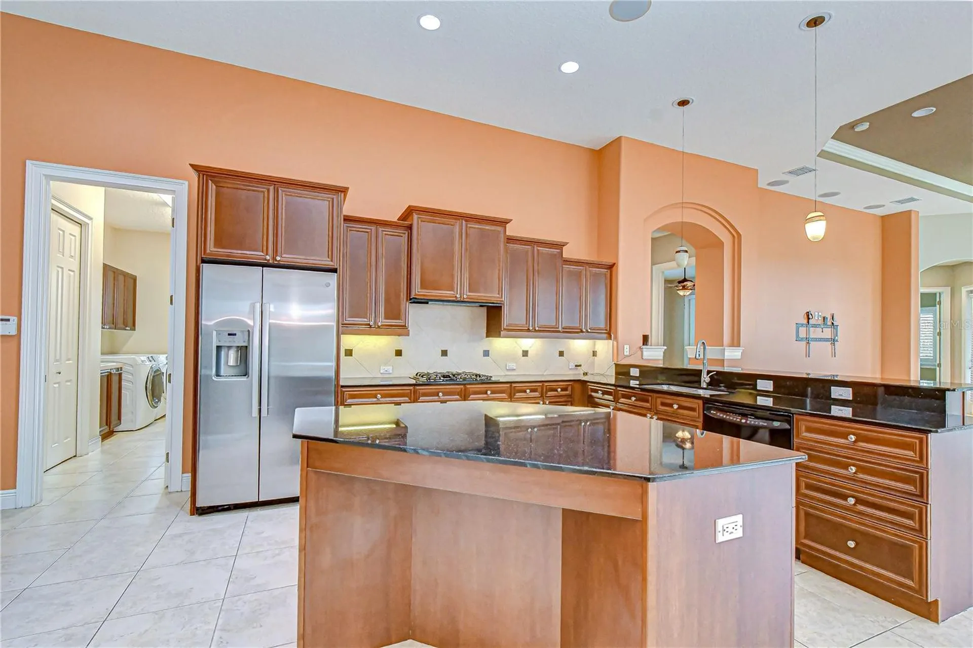 21338 Lake Vienna Drive Land O Lakes FL 34638