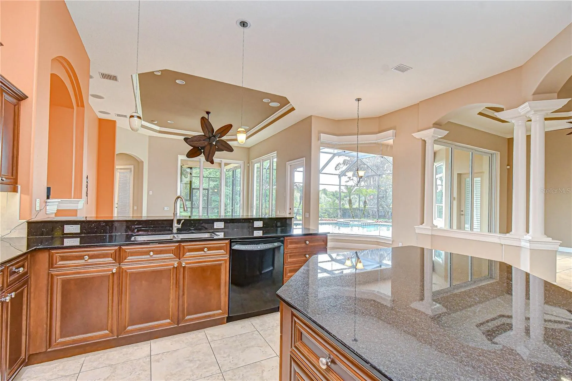 21338 Lake Vienna Drive Land O Lakes FL 34638