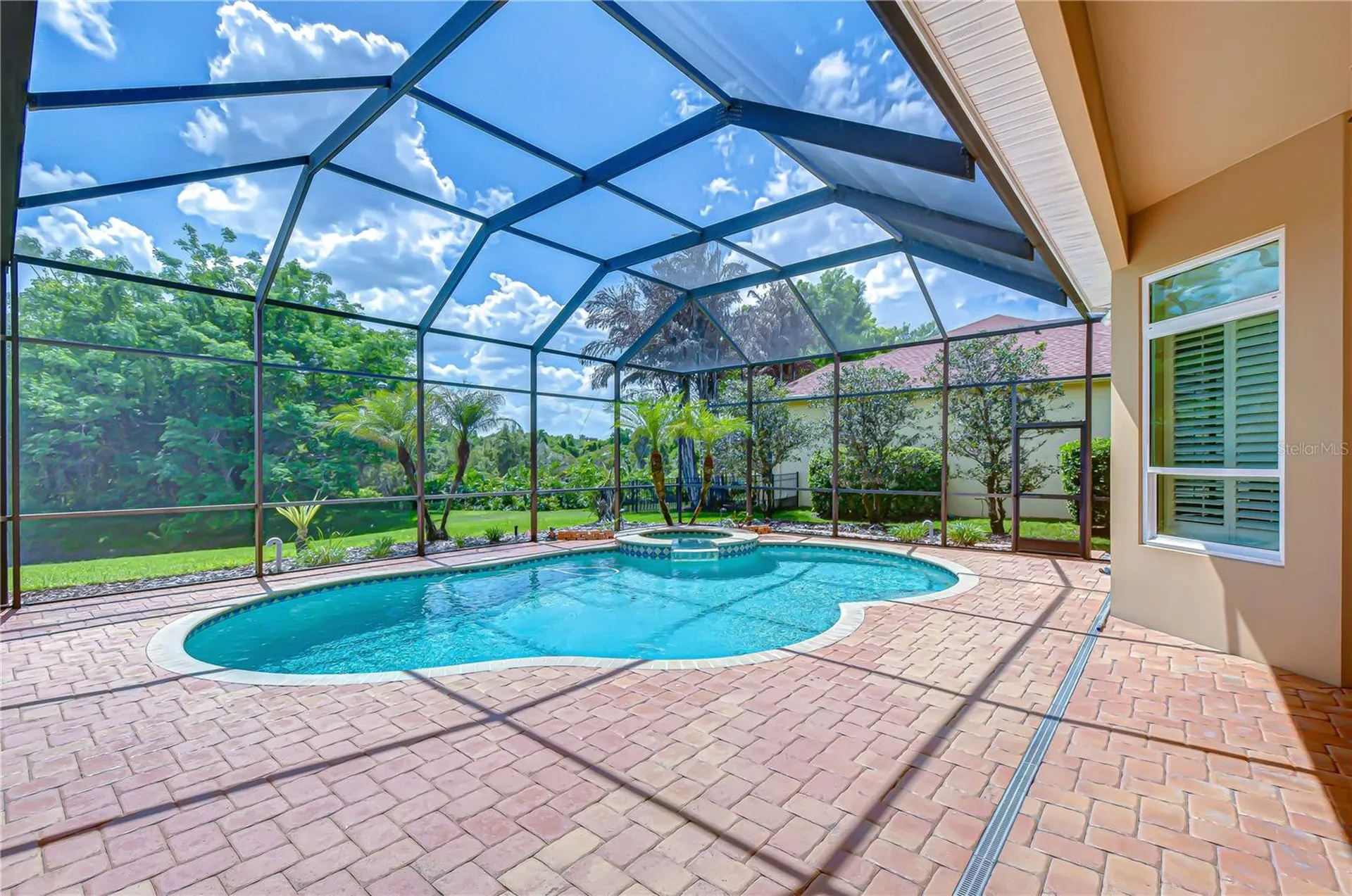 21338 Lake Vienna Drive Land O Lakes FL 34638