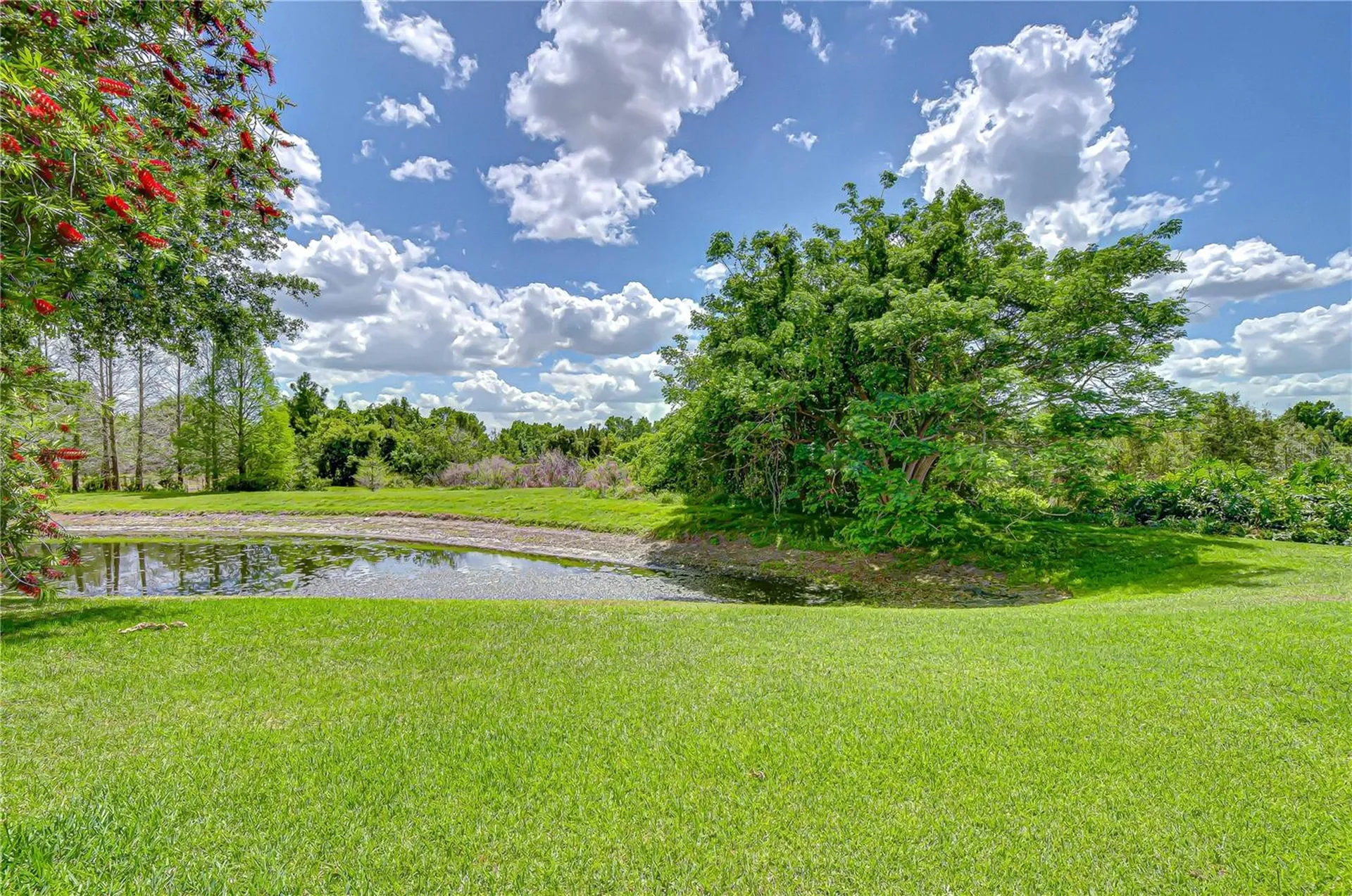 21338 Lake Vienna Drive Land O Lakes FL 34638