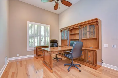 21338 Lake Vienna Drive Land O Lakes FL 34638