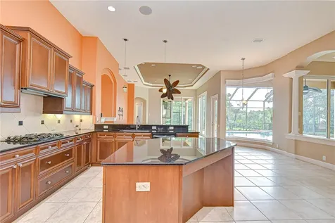 21338 Lake Vienna Drive Land O Lakes FL 34638