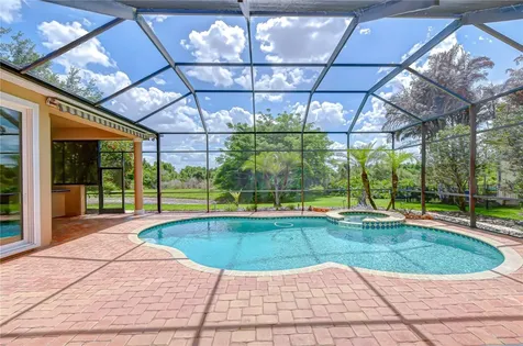 21338 Lake Vienna Drive Land O Lakes FL 34638