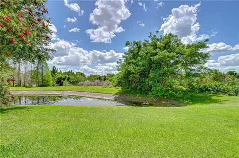 21338 Lake Vienna Drive Land O Lakes FL 34638