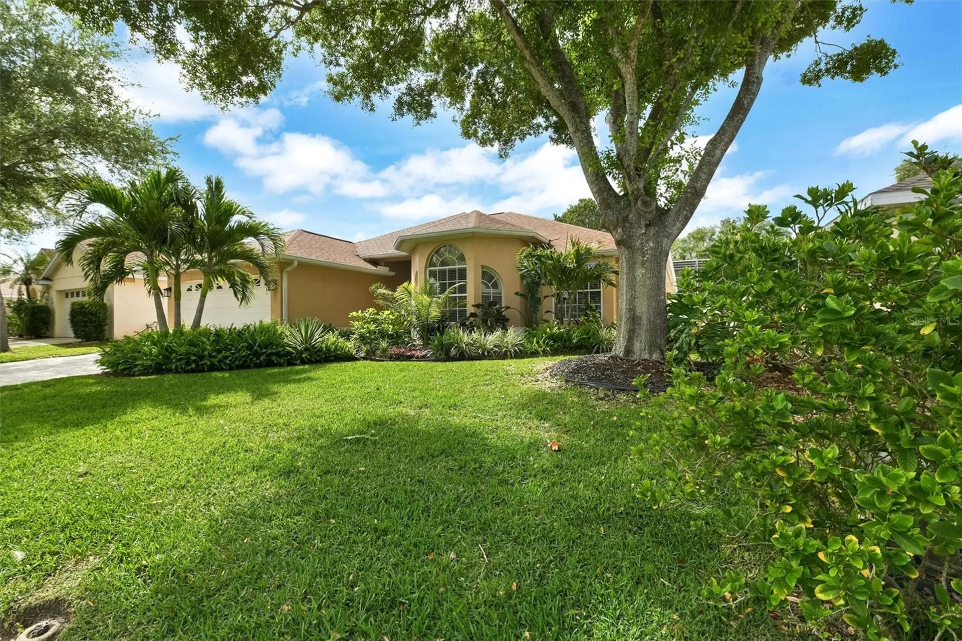 1272 Jasmine Lake Drive Tarpon Springs FL 34689