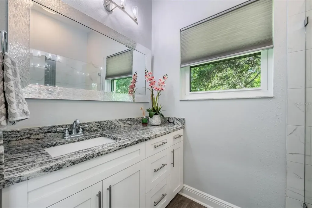 3223 Harvest Moon Drive Palm Harbor FL 34683