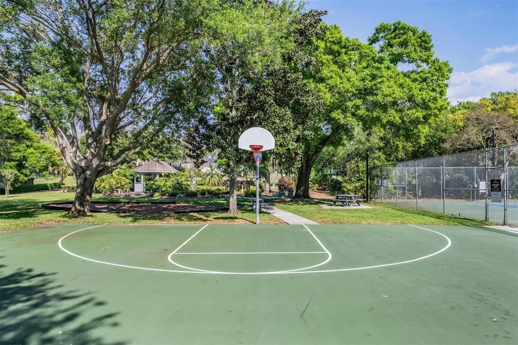 3223 Harvest Moon Drive Palm Harbor FL 34683