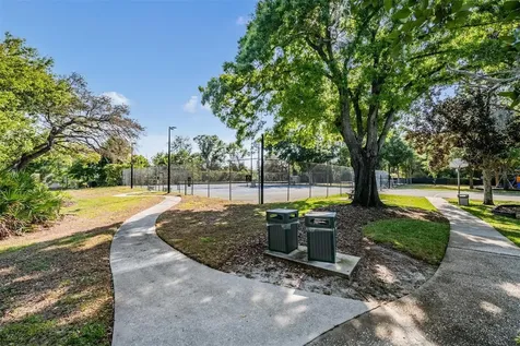3223 Harvest Moon Drive Palm Harbor FL 34683