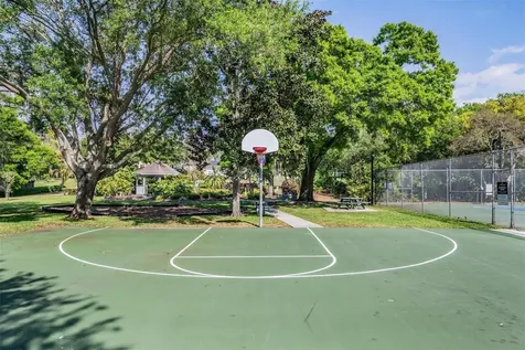 3223 Harvest Moon Drive Palm Harbor FL 34683