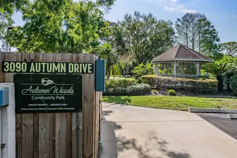 3223 Harvest Moon Drive Palm Harbor FL 34683