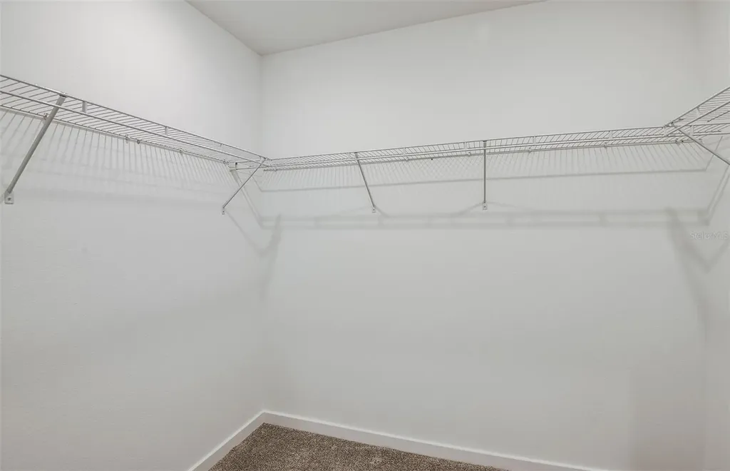 33449 Binding Ties Lane Wesley Chapel FL 33545
