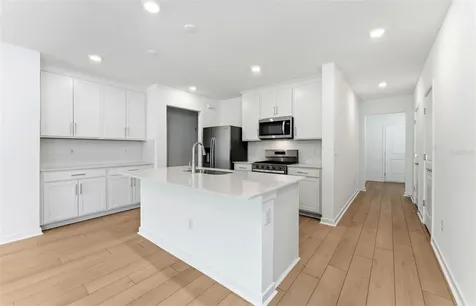 33449 Binding Ties Lane Wesley Chapel FL 33545