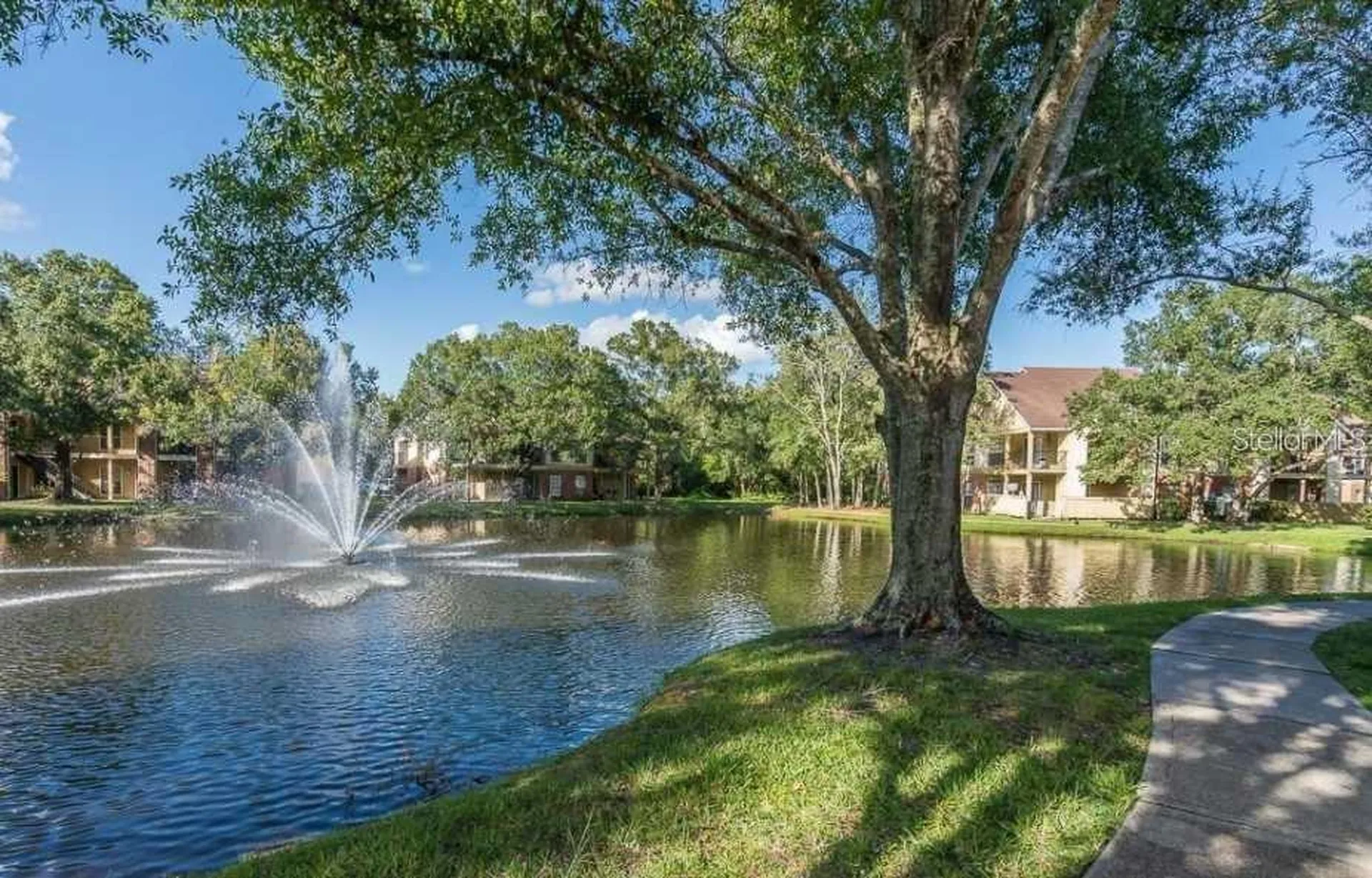8613 Mallard Reserve Drive Tampa FL 33614