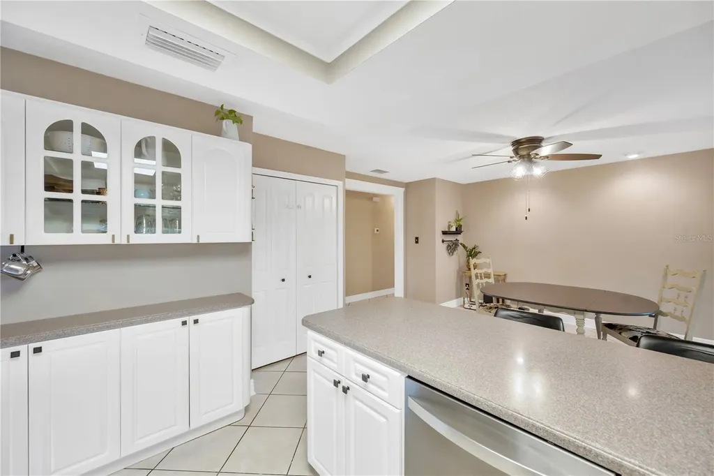 13921 Cherry Dale Lane Tampa FL 33618