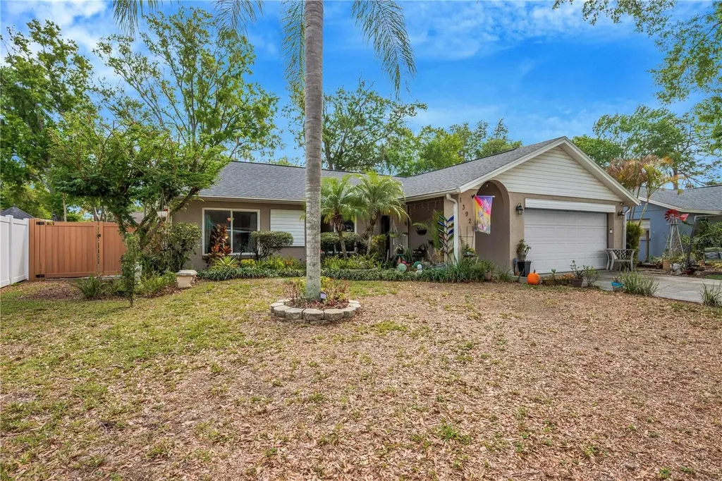 13921 Cherry Dale Lane Tampa FL 33618