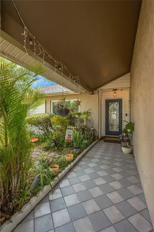 13921 Cherry Dale Lane Tampa FL 33618