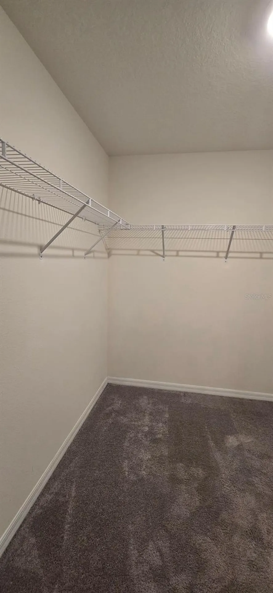 8557 Triumph Circle Wildwood FL 34785