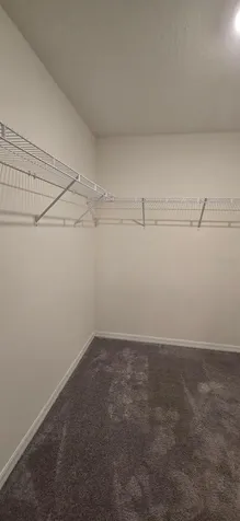 8557 Triumph Circle Wildwood FL 34785