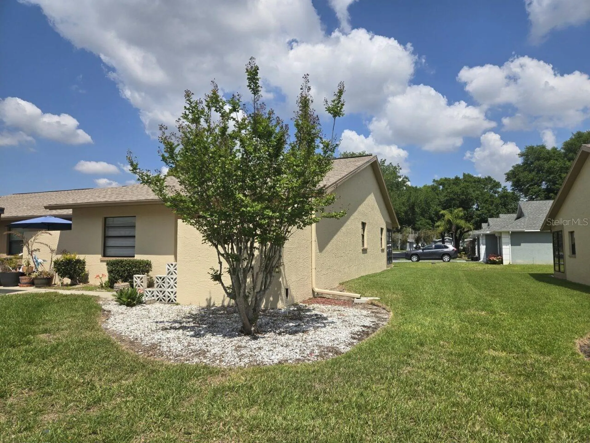 38349 Cottonwood Place Zephyrhills FL 33542