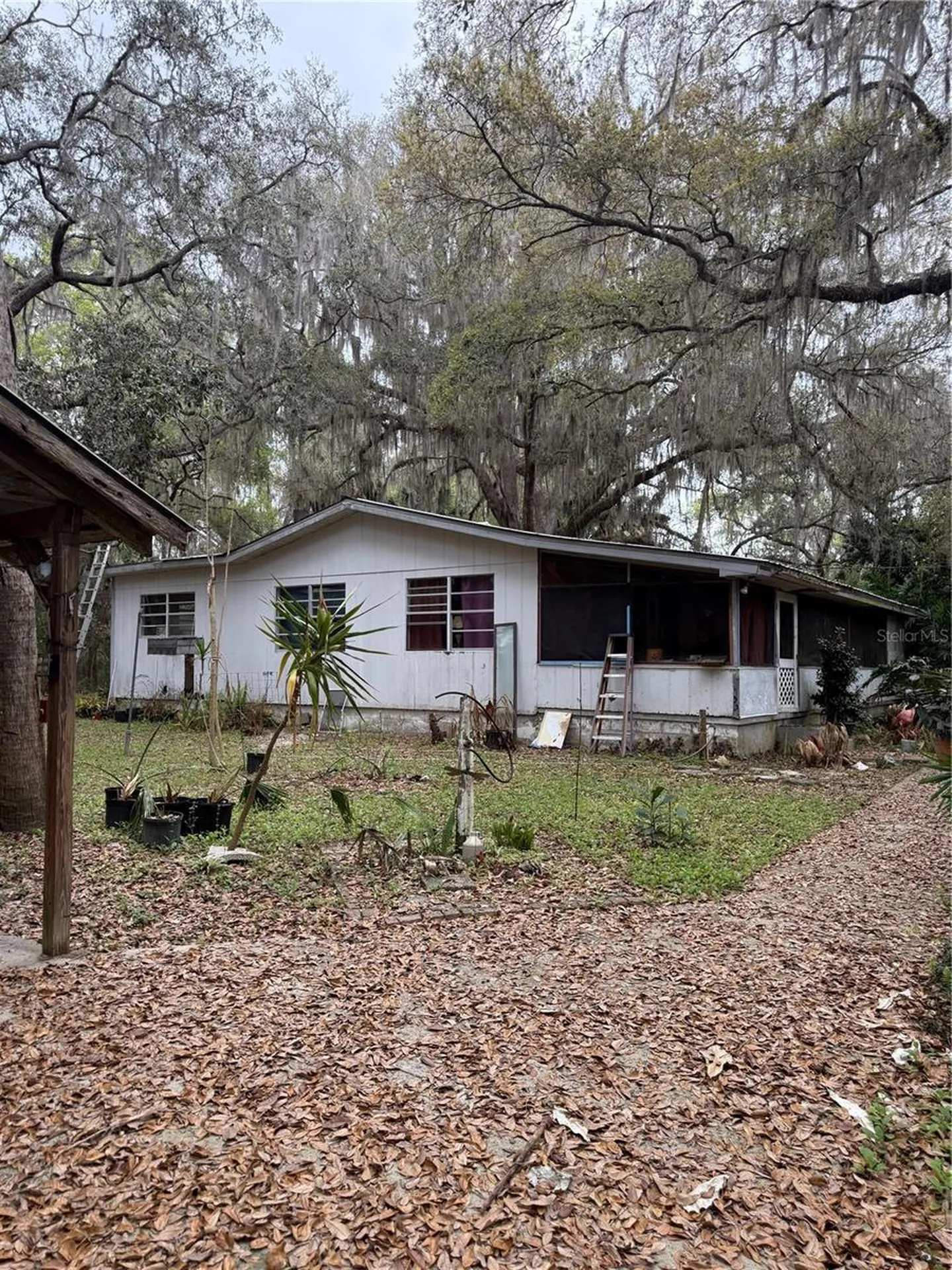 1730 S Palm Avenue Homosassa FL 34448