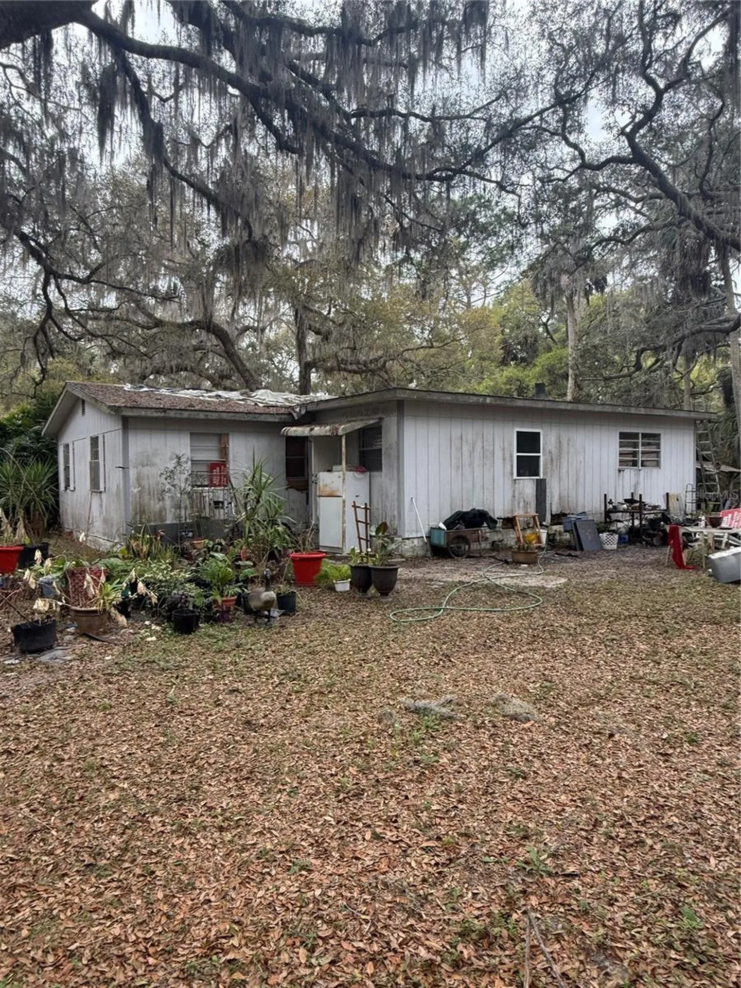 1730 S Palm Avenue Homosassa FL 34448
