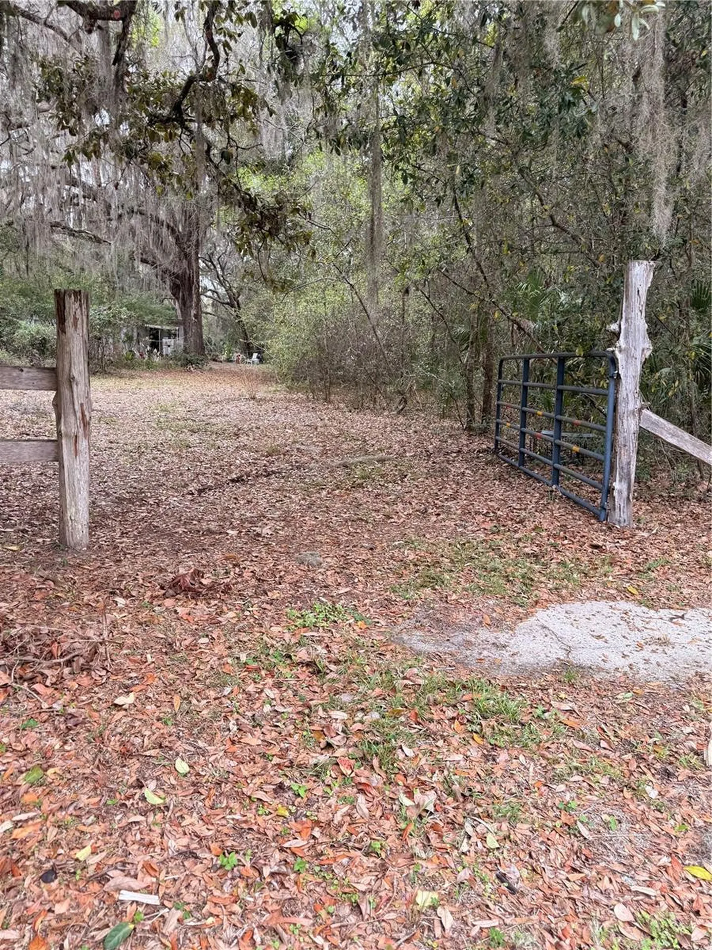 1730 S Palm Avenue Homosassa FL 34448
