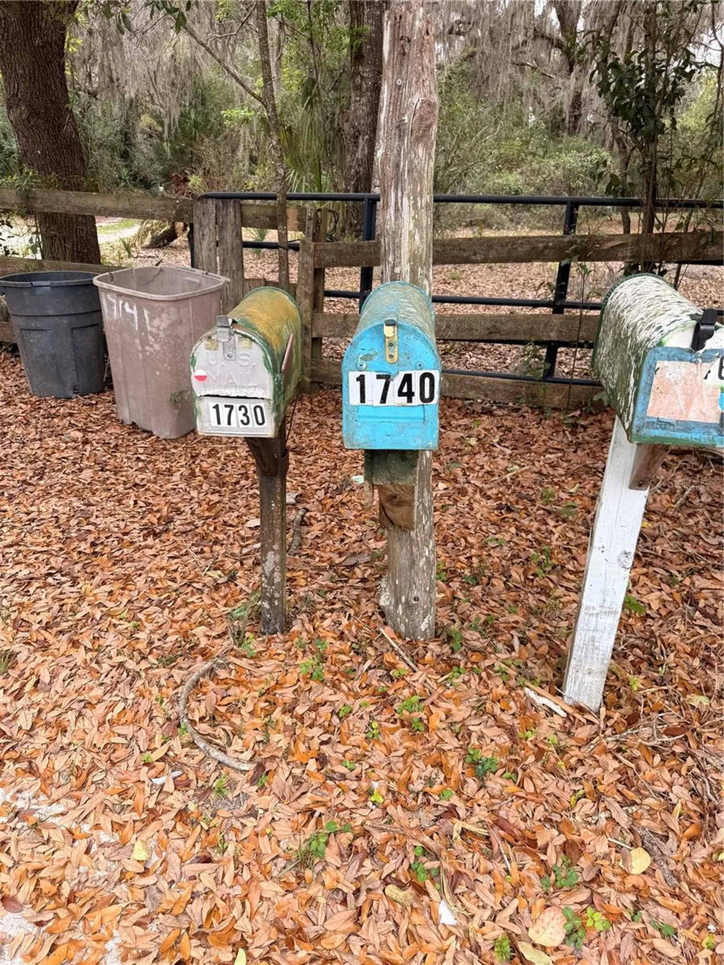 1730 S Palm Avenue Homosassa FL 34448