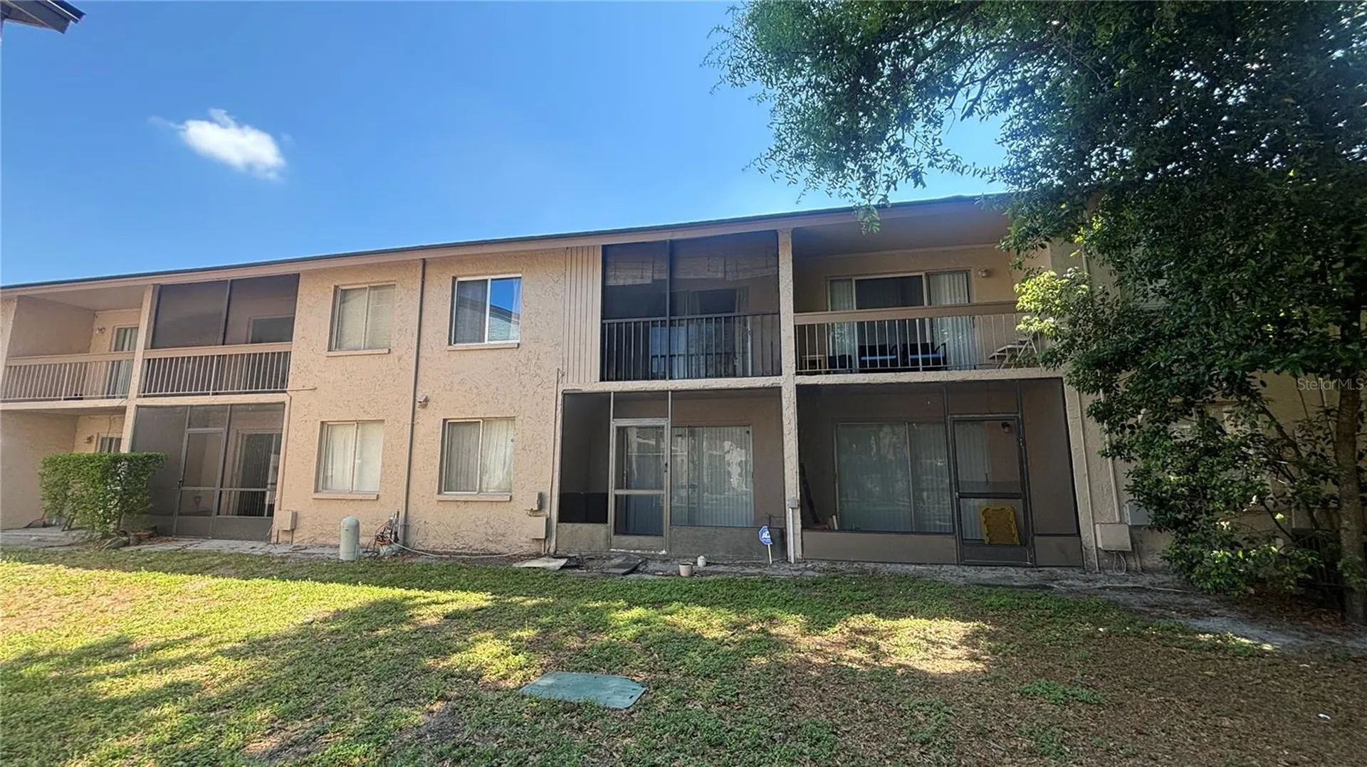 7524 Needle Leaf Place Tampa FL 33617