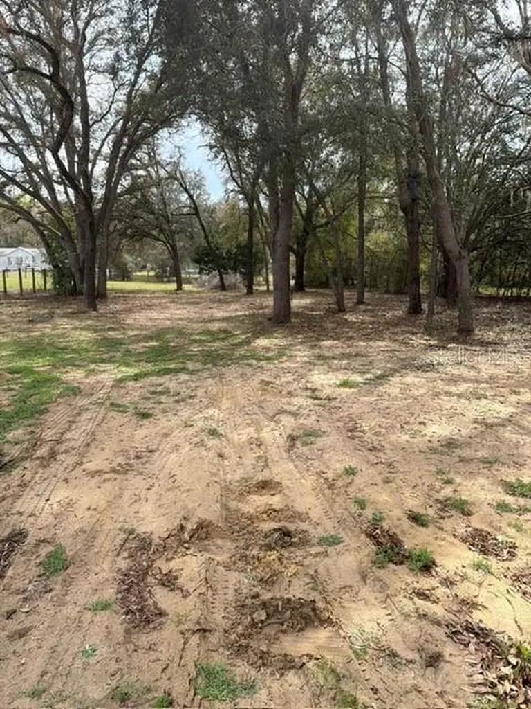8330 NE 113th Lane Bronson FL 32621