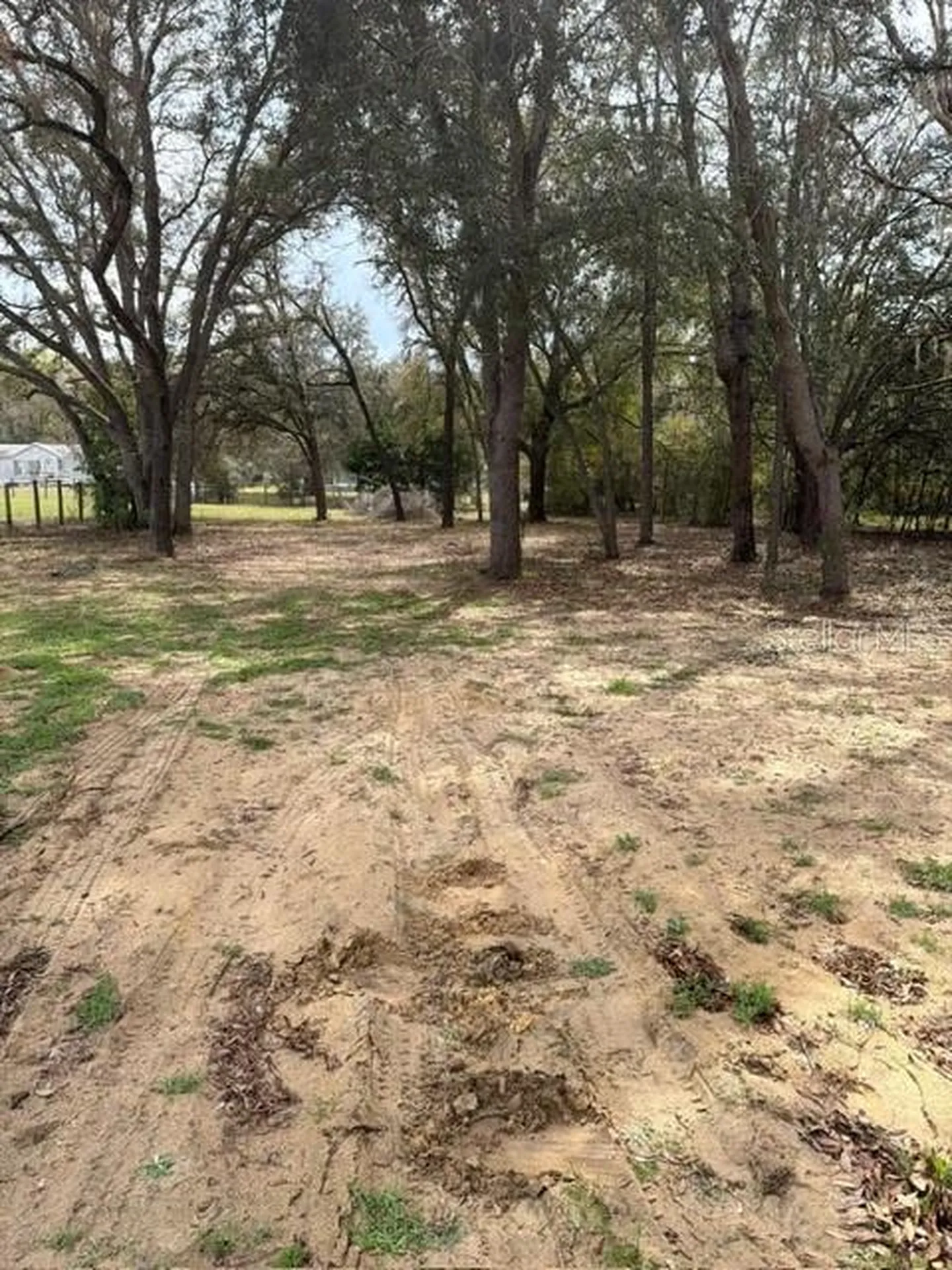 8330 NE 113th Lane Bronson FL 32621