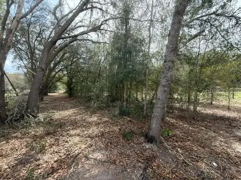 8330 NE 113th Lane Bronson FL 32621